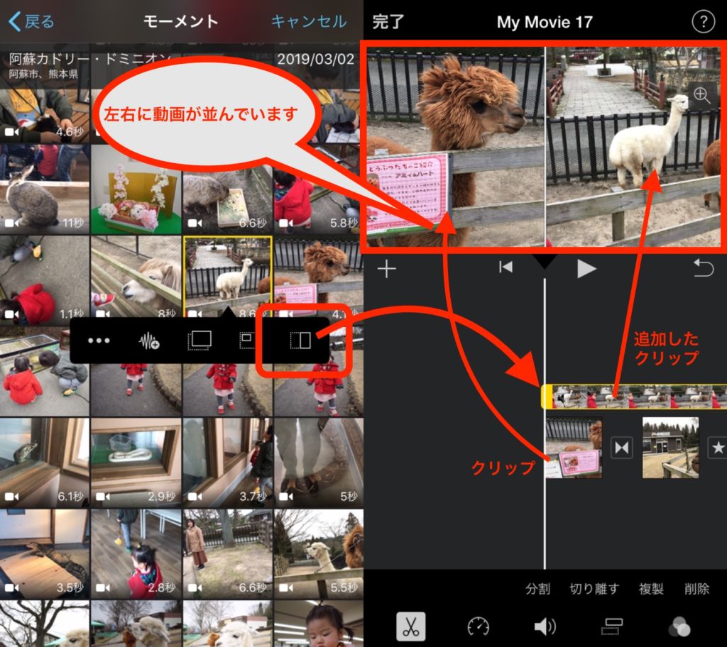 Iphone 動画を並べて比較動画を作成するアプリ Imovie Pacamera